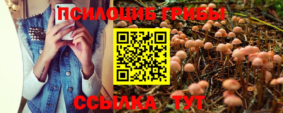Галлюциногенные грибы Magic Shrooms Нягань