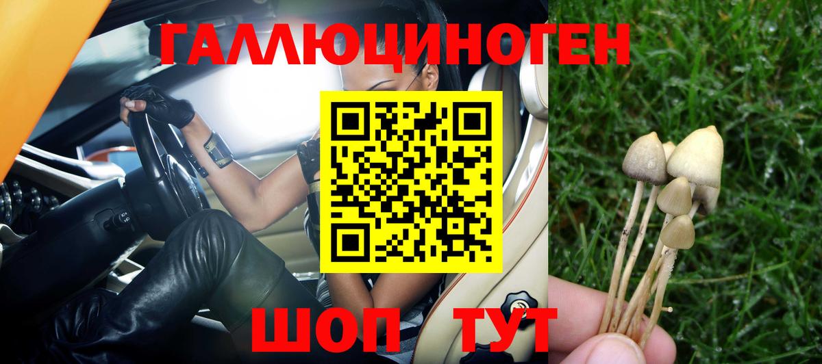 Нягань  Псилоцибиновые грибы Psilocybine cubensis  Вход с VPN 